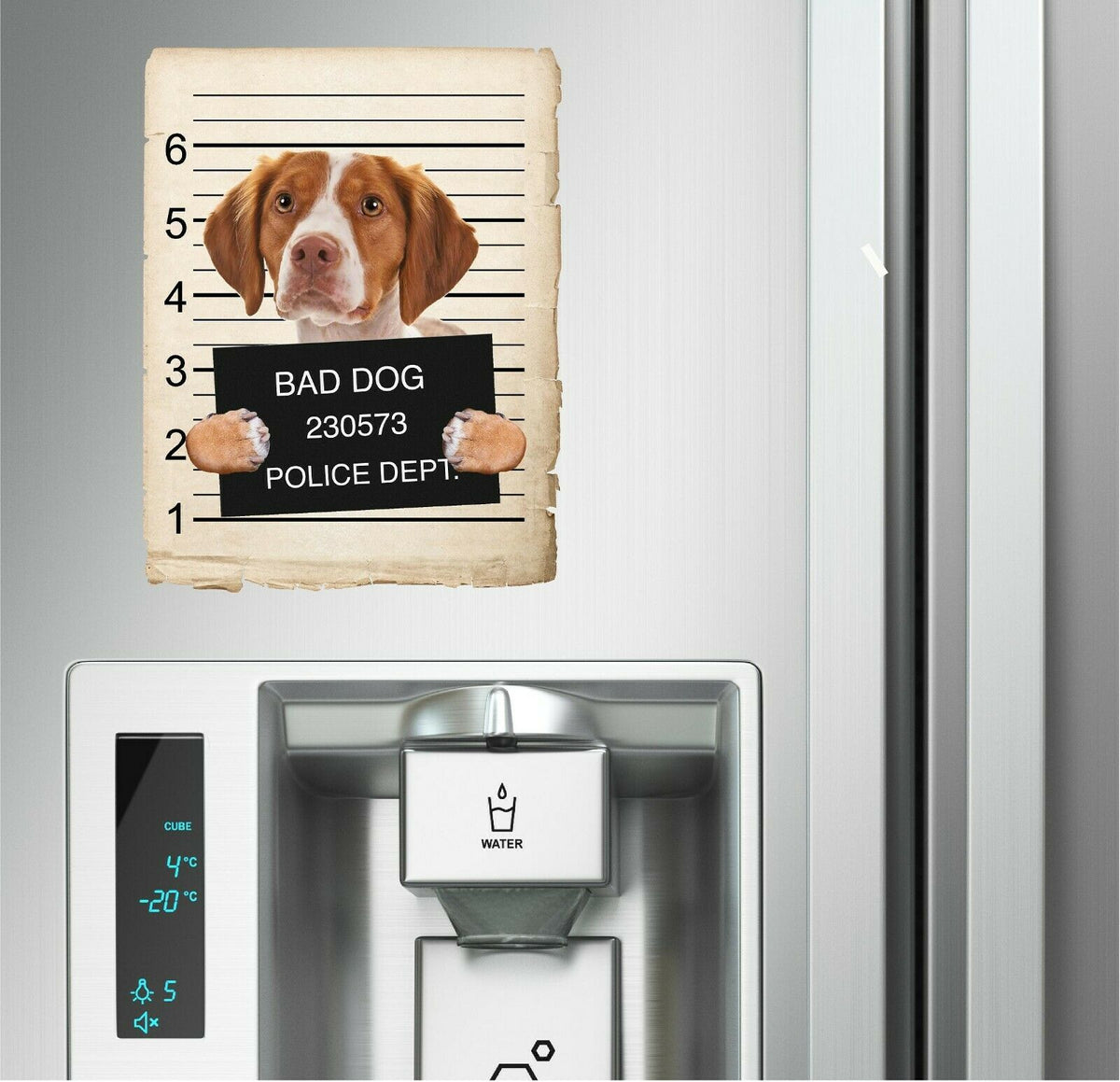 Brittany Mugshot Bad Dog Fridge refrigerator Car Magnet