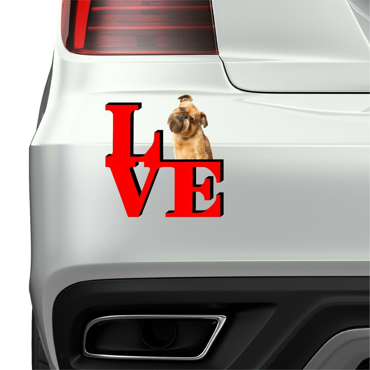 Brussels Griffon Dog Love Park Cute Dog Fridge Refrigerator Car Magnet