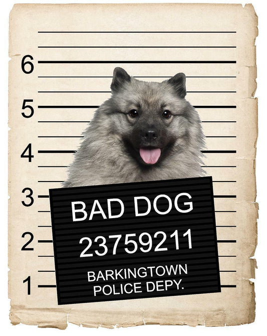Keeshonden  Mugshot Bad Dog Fridge refrigerator Car Magnet