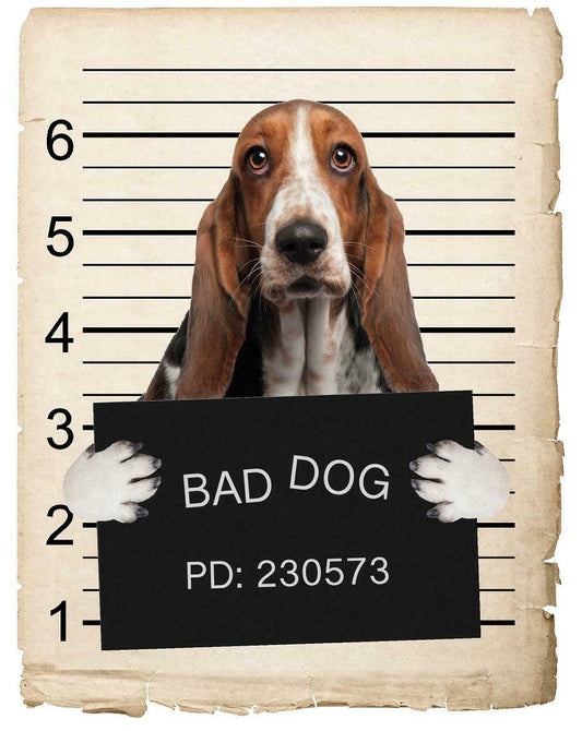 Basset Hound Mugshot Bad Dog Fridge refrigerator Car Magnet Bumper Sticker