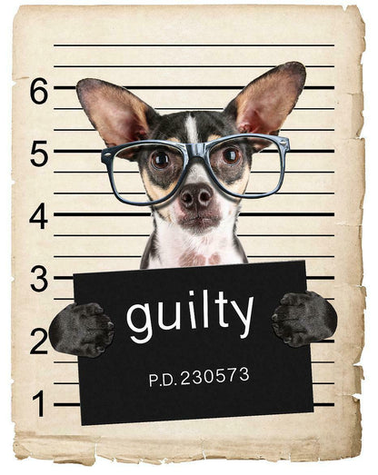 Chihuahua with Glasses Mugshot Bad Dog Fridge refrigerator Car Magnet