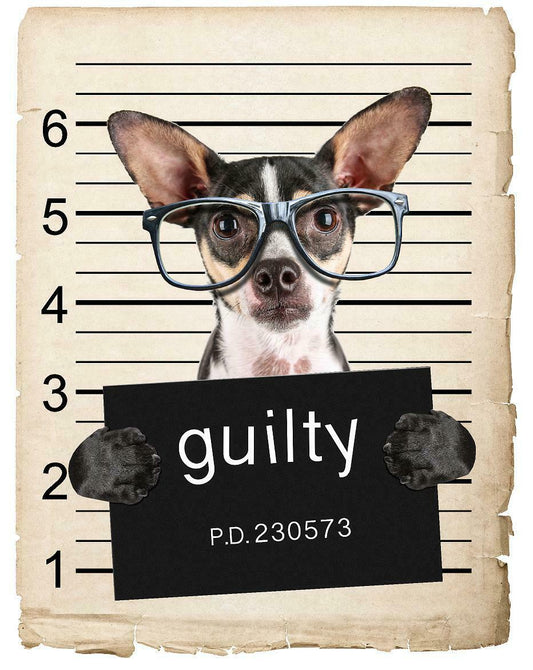 Chihuahua with Glasses Mugshot Bad Dog Fridge refrigerator Car Magnet