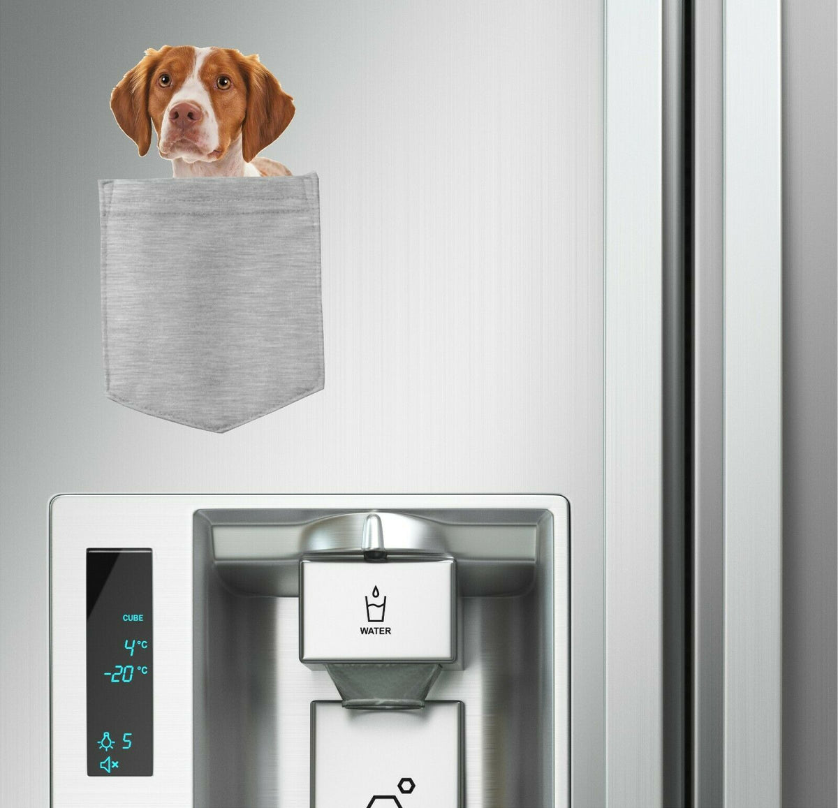 Brittany Dog in pocket Fridge Car Magnet Bumper Sticker App size 4"x7"