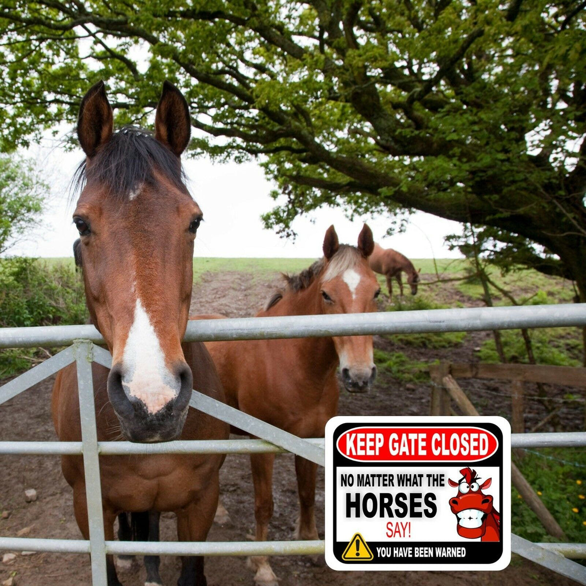 KEEP GATE CLOSED NO MATTER WHAT THE HORSES SAY Metal Aluminum composite sign