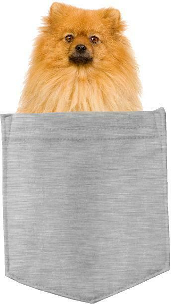 Pomeranian Dog in pocket Fridge Car Magnet Bumper Sticker App size 4"x7"