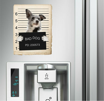 Australian Cattle Dog Mugshot Bad Dog Fridge refrigerator Car Magnet