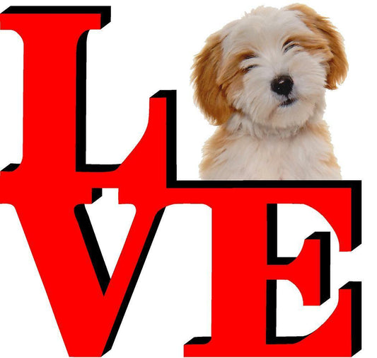 Tibetan Terrier Cute Dog Fridge Refrigerator Car Magnet