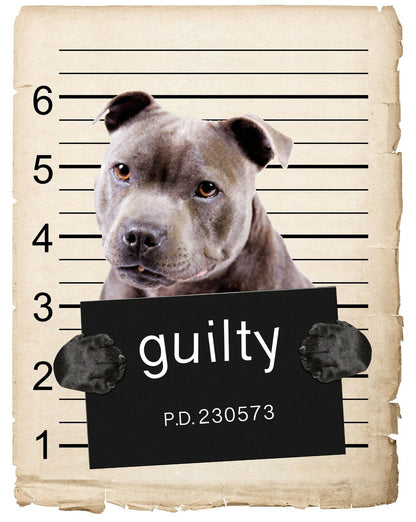 American Staffordshire Mugshot Bad Dog Fridge refrigerator Car Magnet