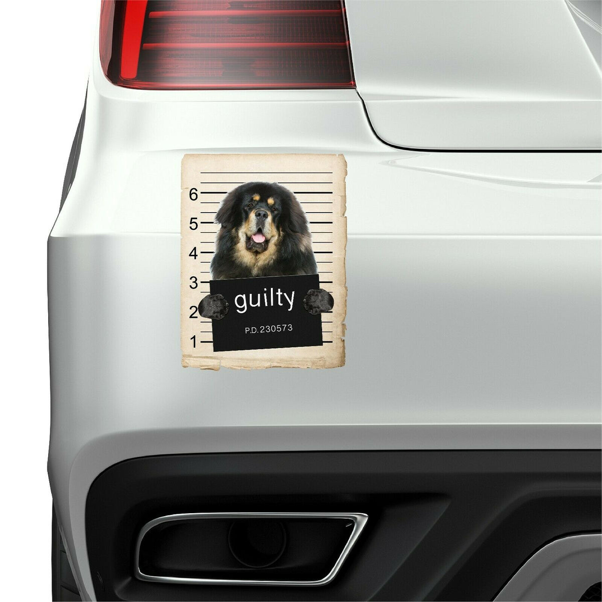 Tibetan Mastiff Mugshot Bad Dog Fridge refrigerator Car Magnet