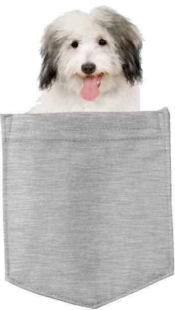 Coton De Tulear Dog in pocket Fridge Car Magnet Bumper Sticker App size 4"x7"