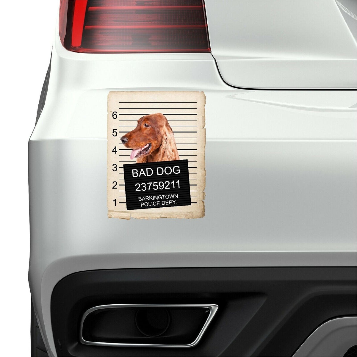 Irish Setter Mugshot Bad Dog Fridge refrigerator Car Magnet