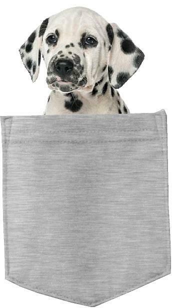 Dalmatian Dog in pocket Fridge Car Magnet Bumper Sticker App size 4"x7"