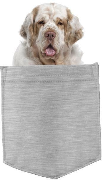 Clumber Spaniel Dog in pocket Fridge Car Magnet Bumper Sticker App size 4"x7"
