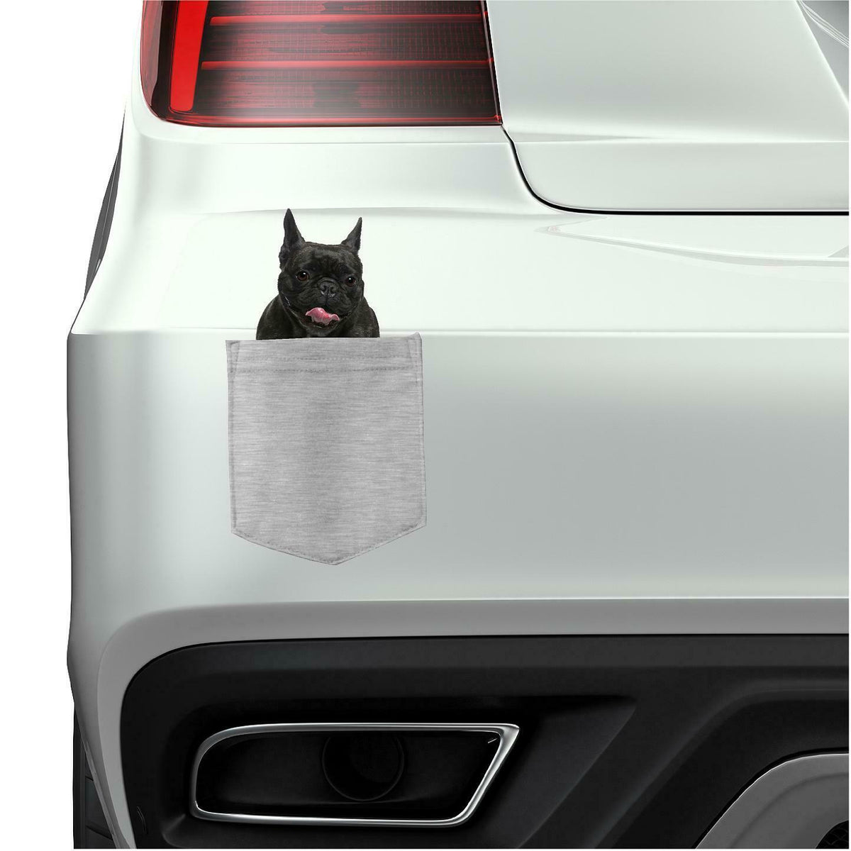 French Bulldog Dog in pocket Fridge Car Magnet Bumper Sticker App size 4"x7"