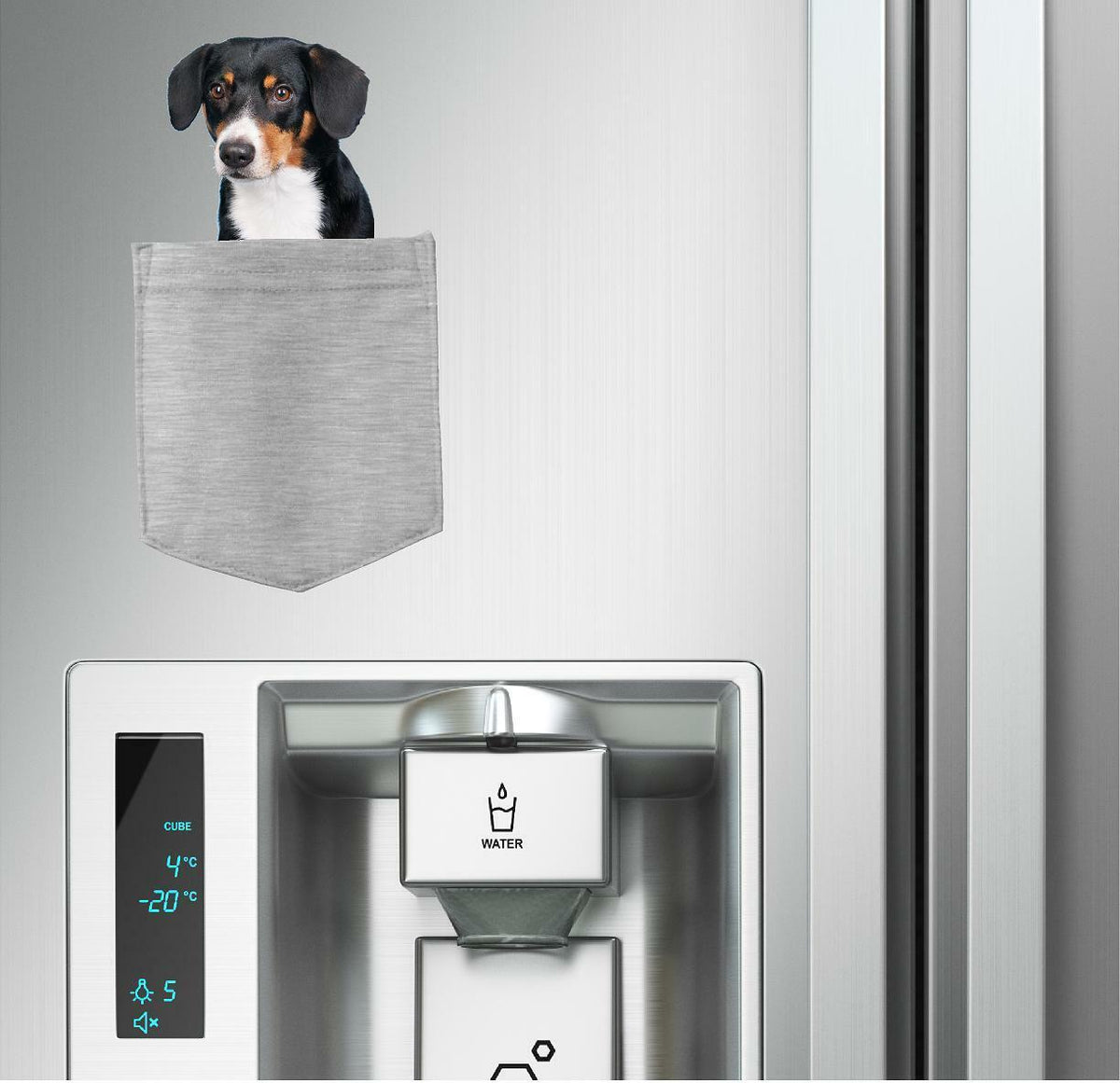 Entlebucher Sennenhund in pocket Fridge Car Magnet Bumper Sticker App size 4"x7"