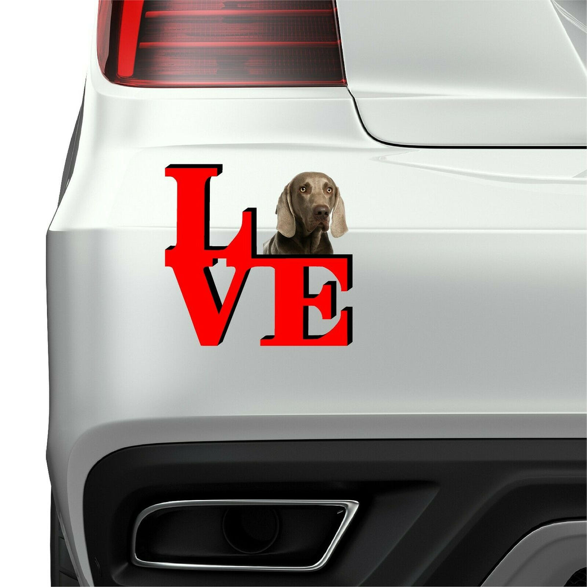 Weimaraner Cute Dog Fridge Refrigerator Car Magnet