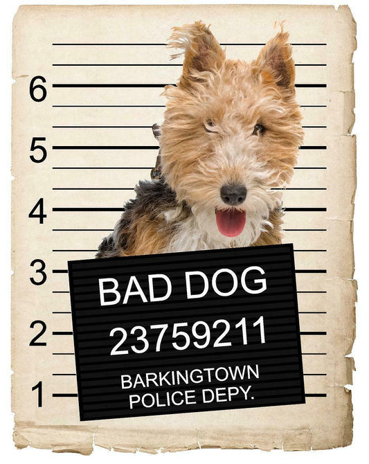 Fox Terrier Mugshot Bad Dog Fridge refrigerator Car Magnet