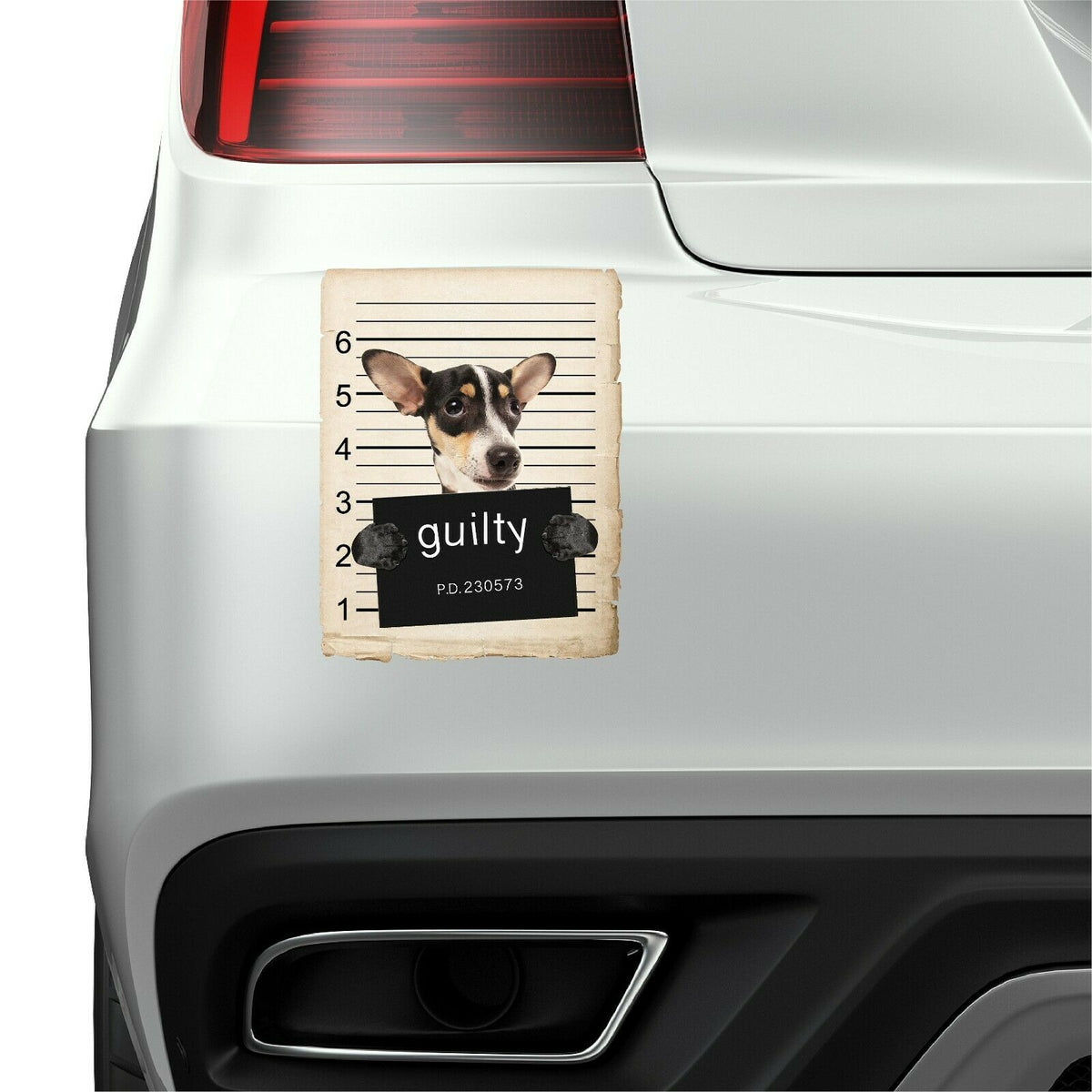Rat Terrier Mugshot Bad Dog Fridge refrigerator Car Magnet