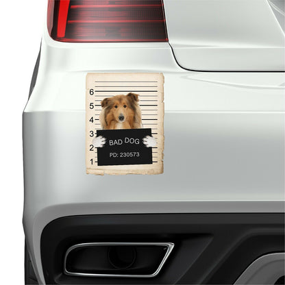 Collie Mugshot Bad Dog Fridge refrigerator Car Magnet