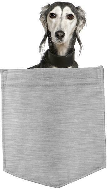 Saluki Dog in pocket Fridge Car Magnet Bumper Sticker App size 4"x7"