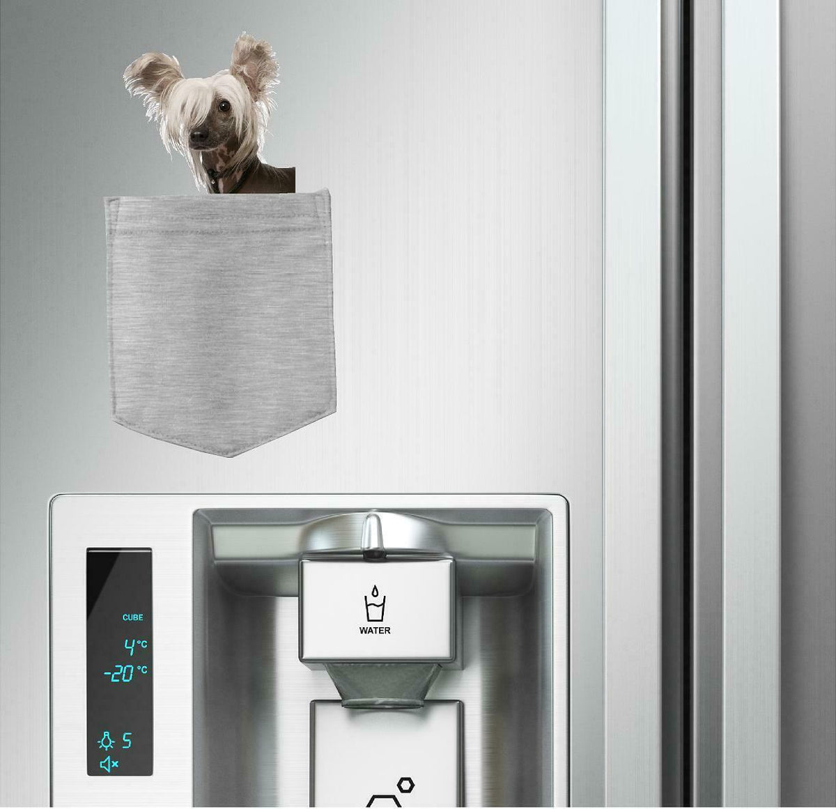 Chinese Crested Dog in pocket Fridge Car Magnet Bumper Sticker App size 4"x7"
