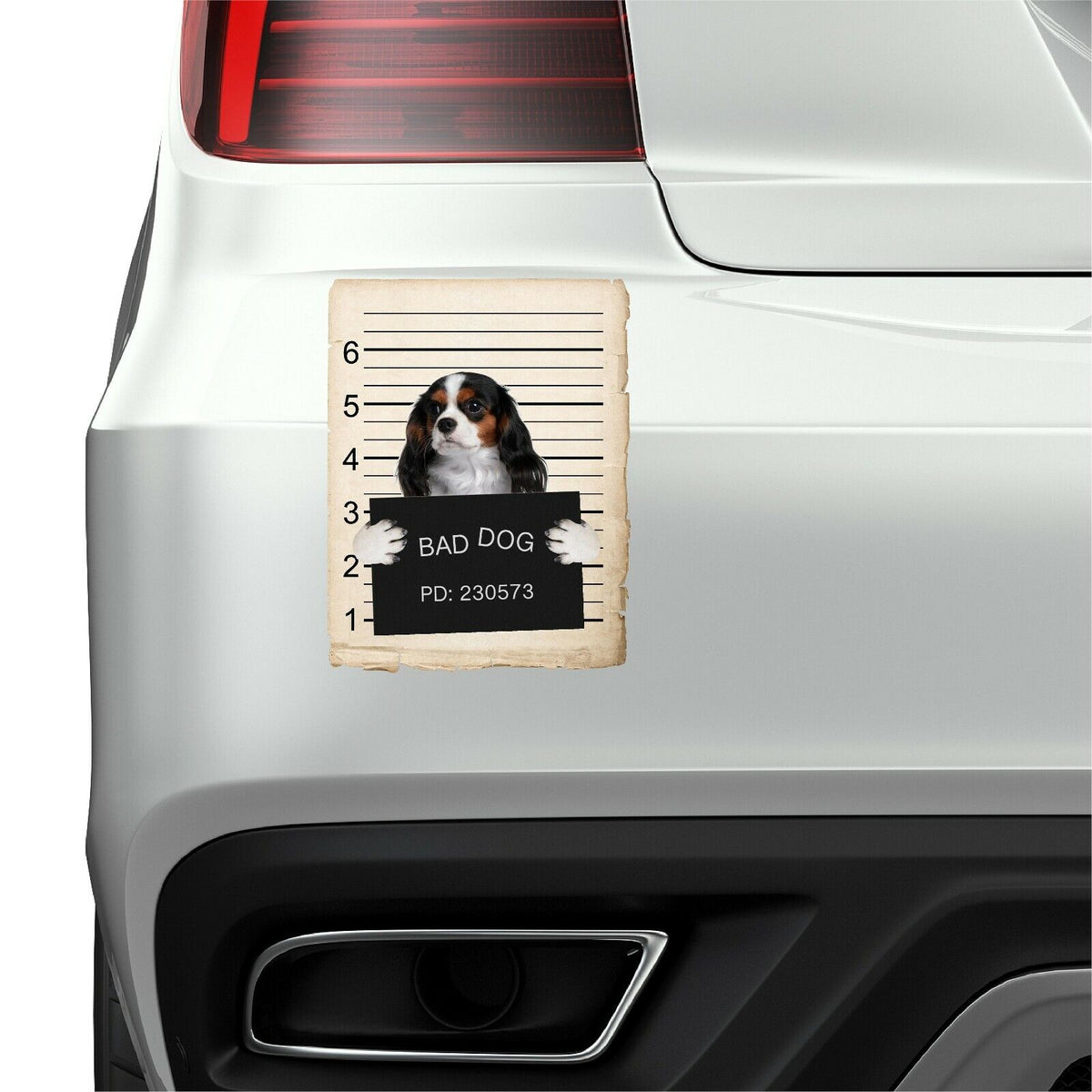 Cavalier King Charles Spaniel Mugshot Bad Dog Fridge refrigerator Car Magnet