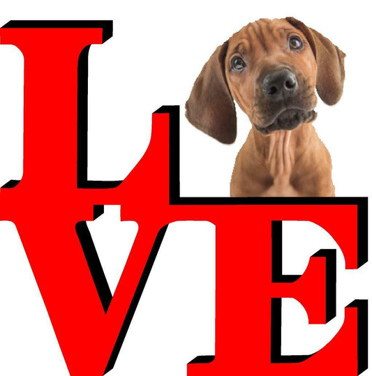 Rhodesian Ridgeback Cute Dog Fridge Refrigerator Car Magnet