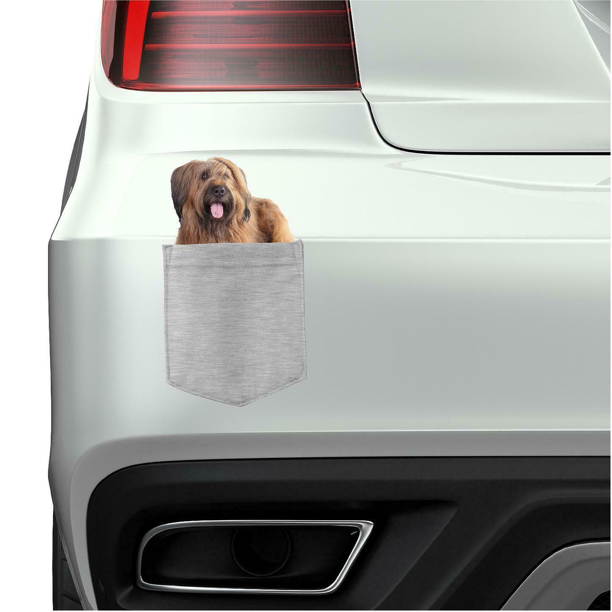 Briard Dog in pocket Fridge Car Magnet Bumper Sticker App size 4"x7"