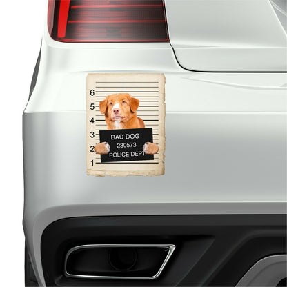 Nova Scotia Duck Toller Mugshot Bad Dog Fridge refrigerator Car Magnet