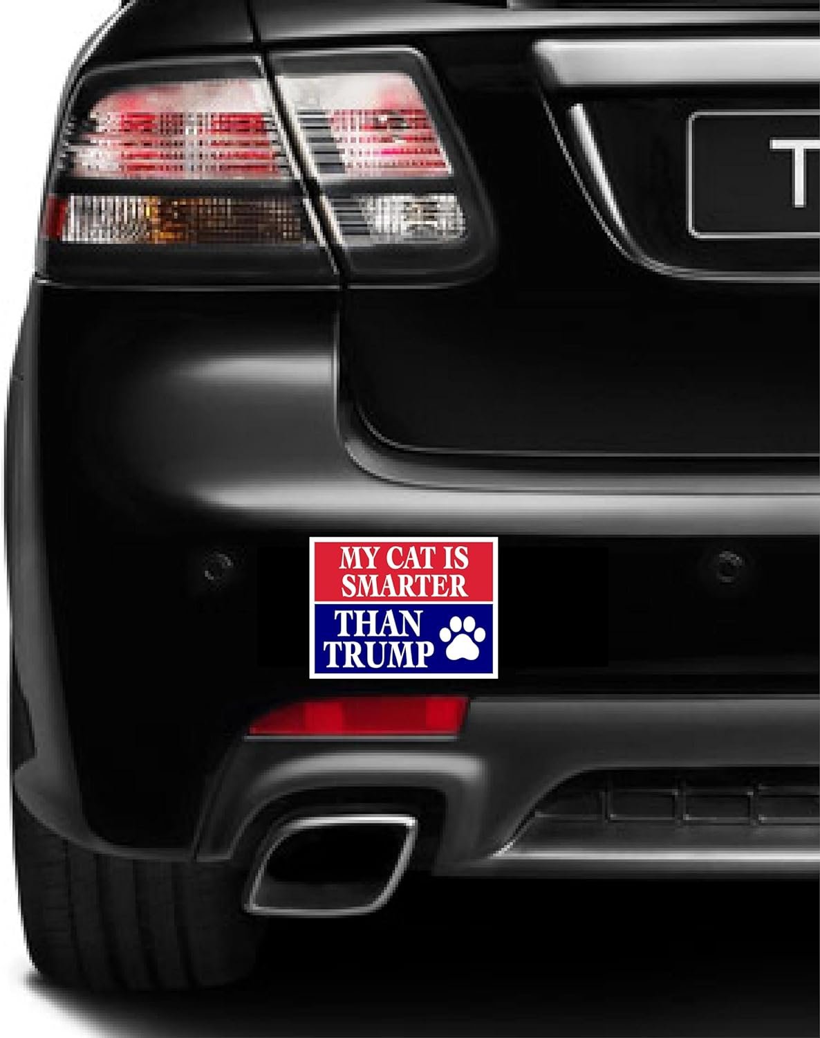 3 Pack Eco My Cat is Smarter Than Trump Biden Political Bumper Magnet 4 in x 3 in
