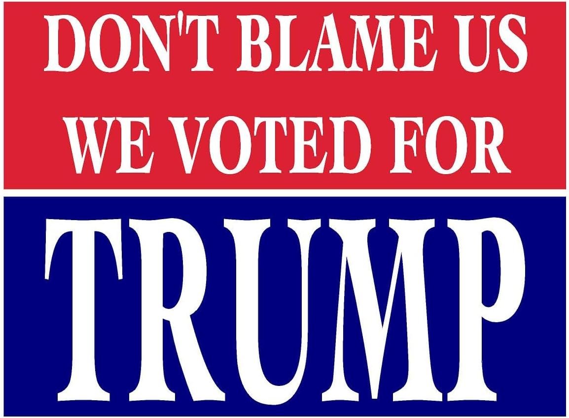 3 Pack Eco Don't Blame Us Voted Trump Red Blue Bumper Magnet 4 in x 3 in