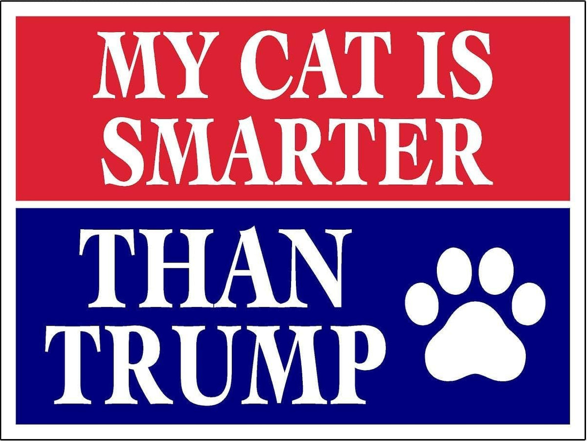 3 Pack Eco My Cat is Smarter Than Trump Biden Political Bumper Magnet 4 in x 3 in