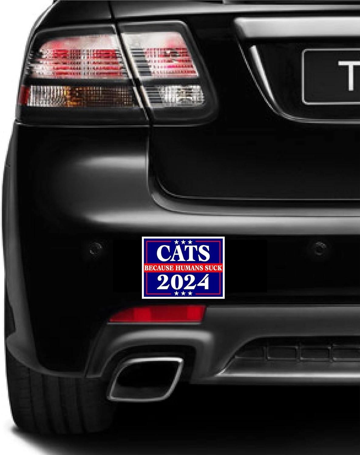 3 Pack Eco Cats Because People Suck 2024 Bumper Magnet 4 in x 3 in
