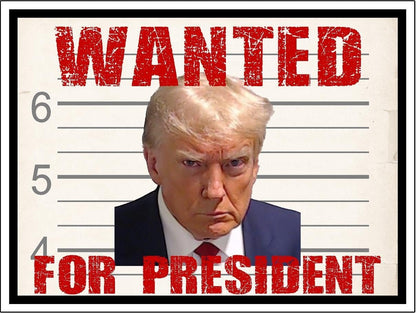 3 Pack Eco Wanted for President Trump Republican Bumper Magnet 4 in x 3 in